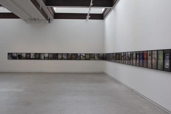Image: Installation view of The Homely II at CoCA, 2019-20. Photographer: Gavin Hipkins